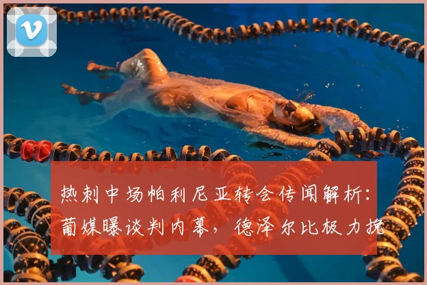热刺中场帕利尼亚转会传闻解析：葡媒曝谈判内幕，德泽尔比极力挽留背后原因