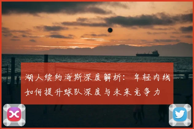 湖人续约海斯深度解析：年轻内线如何提升球队深度与未来竞争力